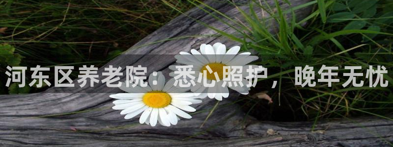 韦德1946备用网站