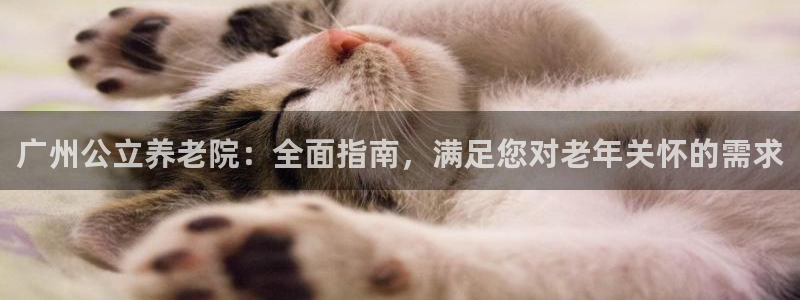 韦德 官网
