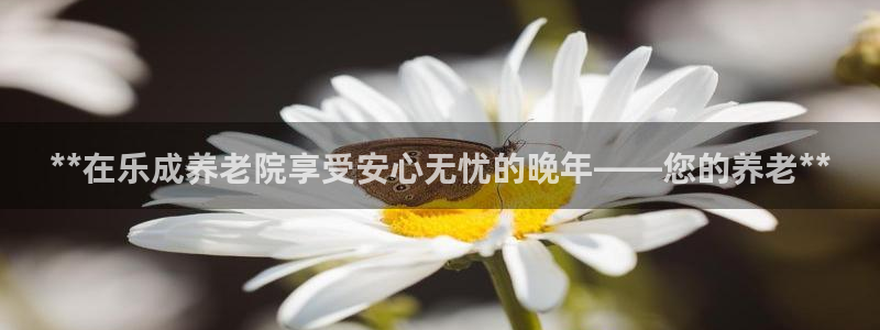 韦德1946bv1946