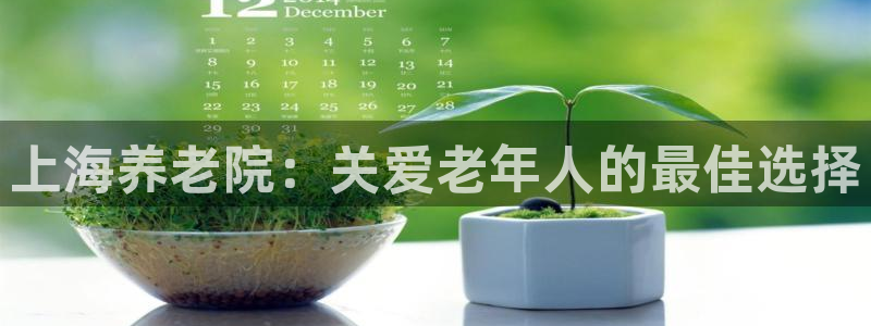 韦德1567