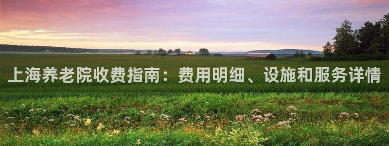 韦德网址是多少