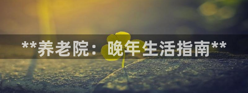 韦德官方网址大全