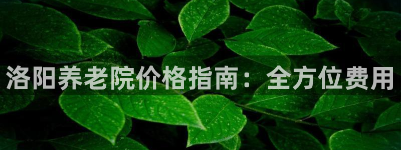 韦德官网注册推荐网站