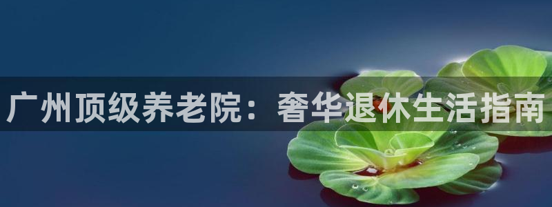 韦德2016