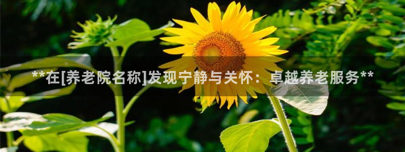 韦德1946娱乐
