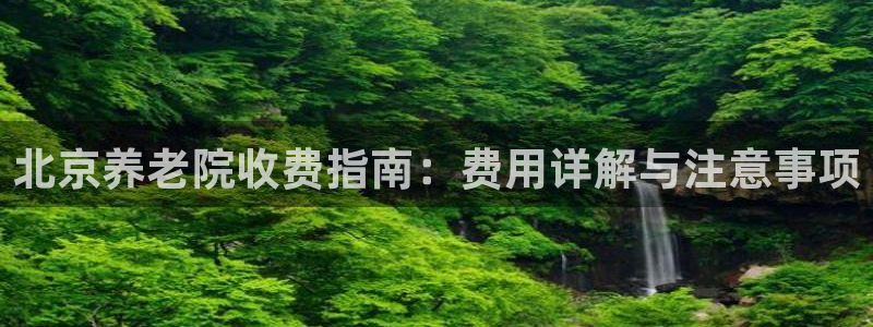 韦德官方网址大全