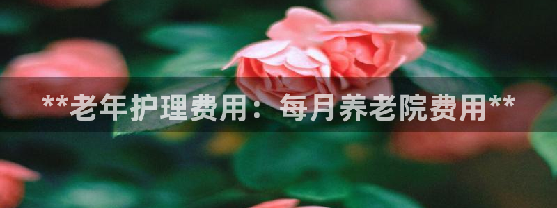 韦德 官网