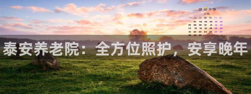 韦德游戏是什么