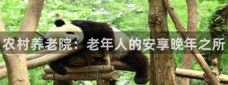 韦德注册手机版