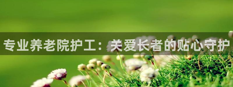 韦德1946中文官网
