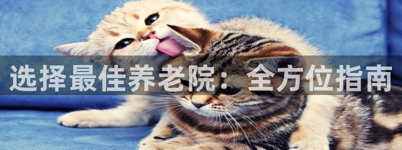 1946韦德找回密码
