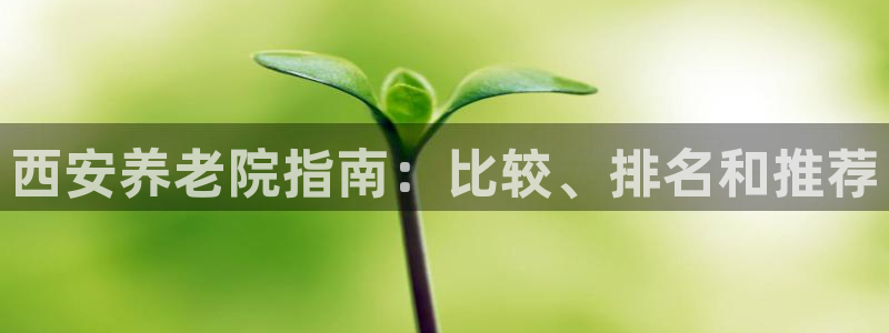 韦德官网注册推荐网站