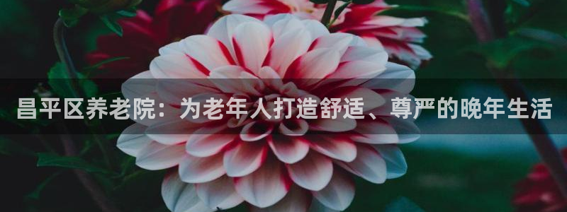 韦德8月22日开启中国行