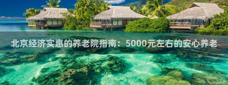 韦德网址是多少
