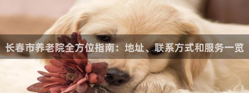 韦德1946娱乐手机版