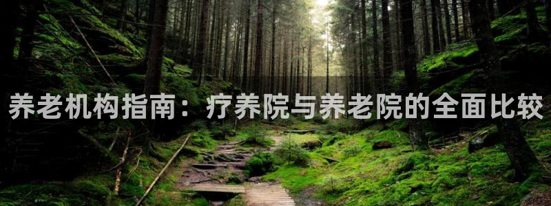 韦德的游戏