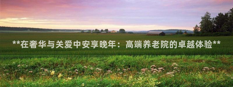 韦德 网址