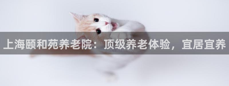 韦德游戏注册需要什么