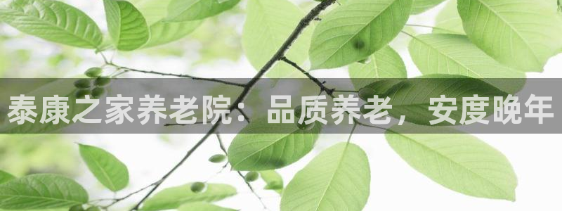 韦德1946官网最新版