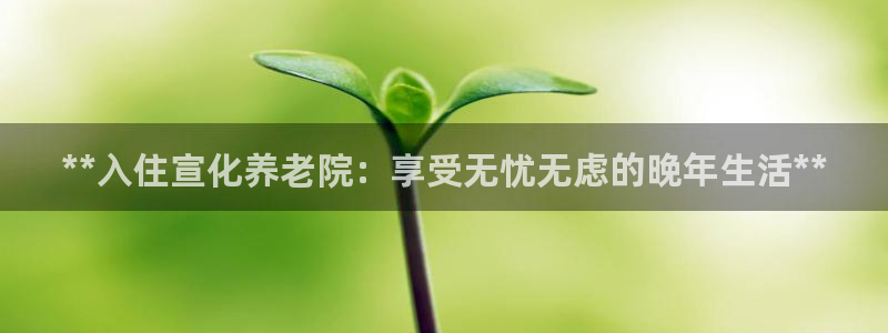 韦德1946客户端