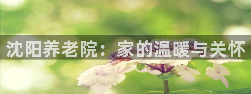 韦德1946博客