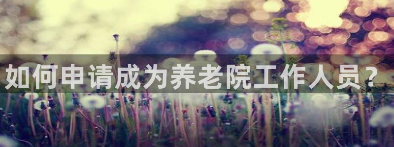 韦德网址是多少