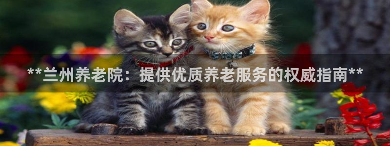 1946 韦德