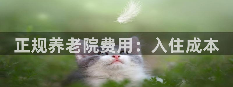 韦德全系列