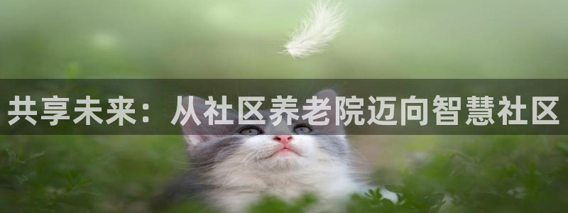 韦德 1946