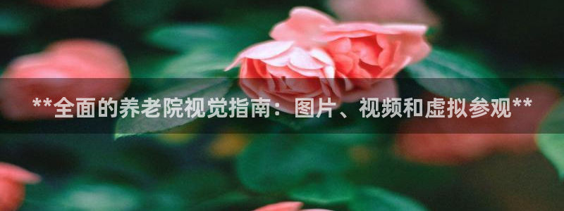 韦德betvictor