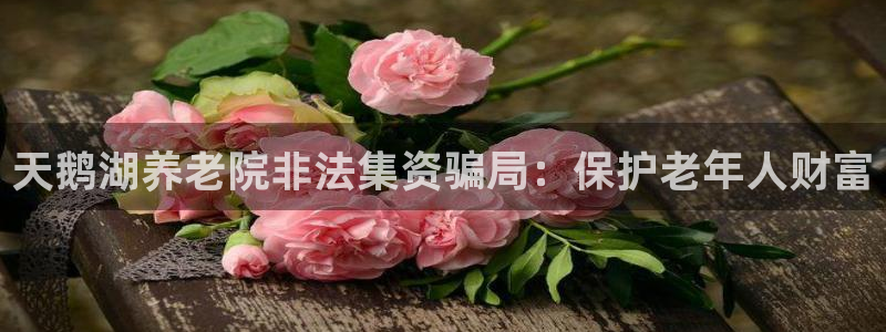 韦德1946始于英国