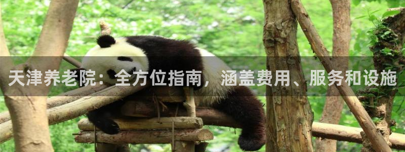 韦德新品