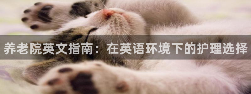 韦德betvlctor1946