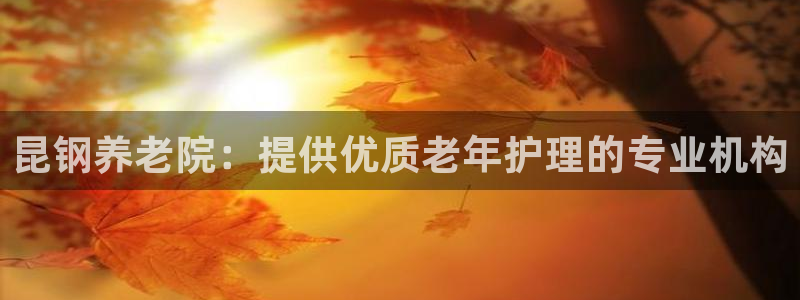 韦德的地位