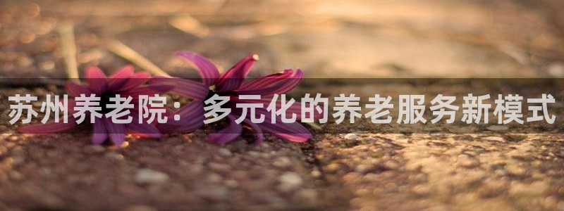 韦德 网站
