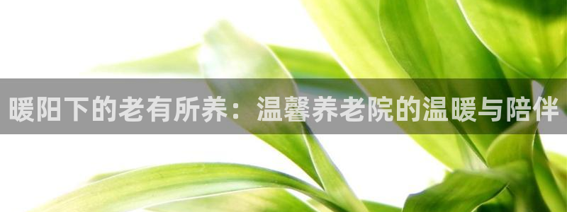 韦德8月22日开启中国行