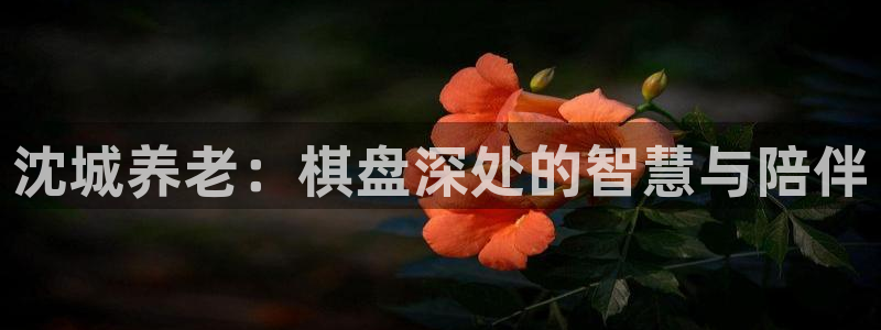 韦德官网在线