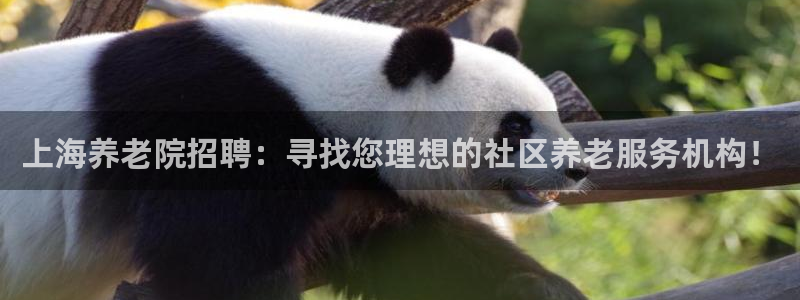 1946韦德官方网站