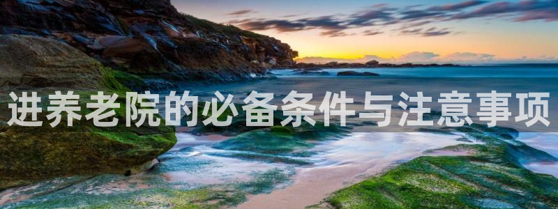 韦德1946手机网址
