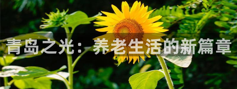 韦德1946始于英国