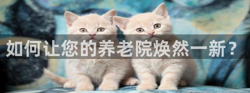 韦德官方网址大全
