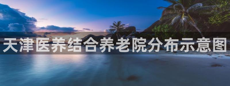 韦德新品