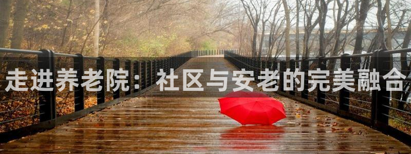韦德1946备用网站