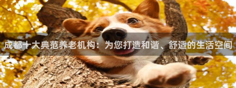 韦德1946始于英国