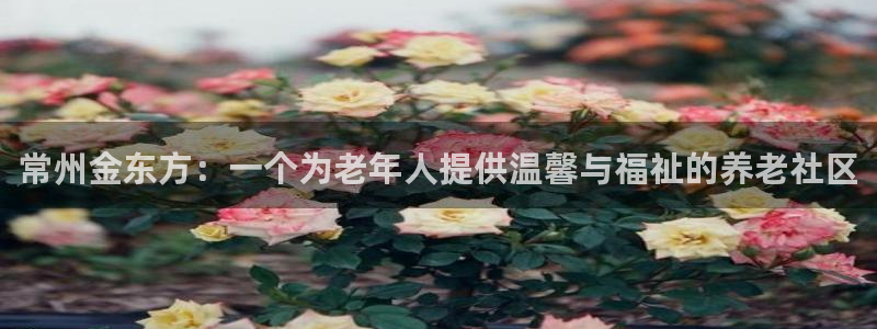 韦德国际1946官网