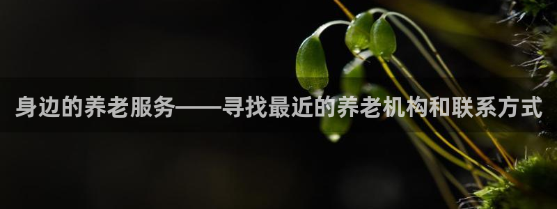 韦德1946最新网站