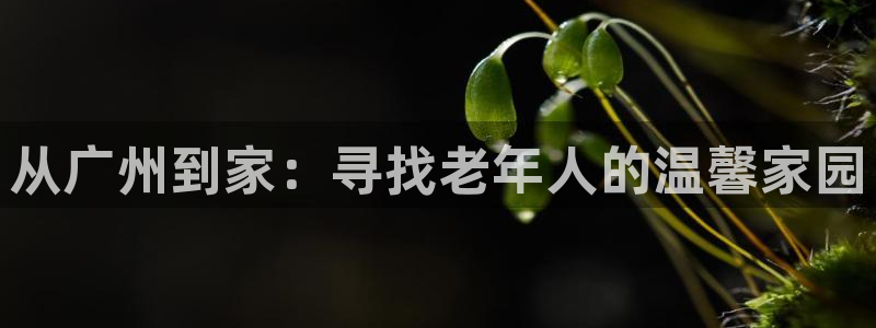 1946韦德找回密码