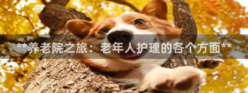 韦德1946官方网站