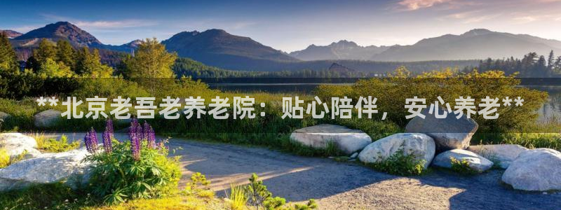 韦德新品