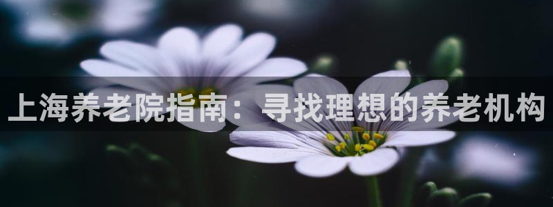 韦德官网在线